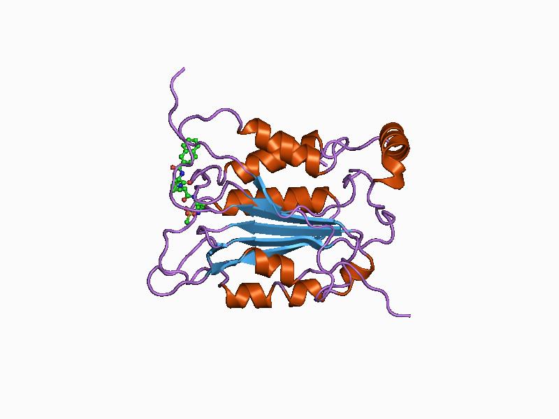 File:PDB 1bmq EBI.jpg