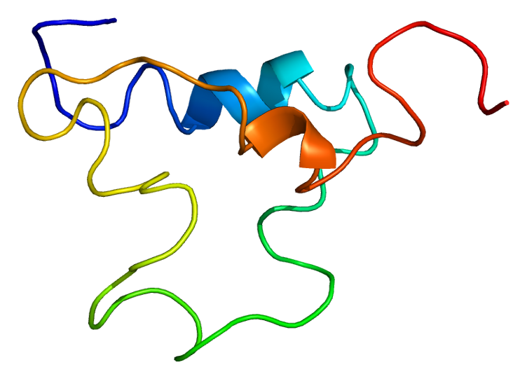 File:Protein IGF1 PDB 1bqt.png