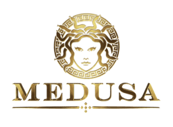 File:Bijoux Medusa.png