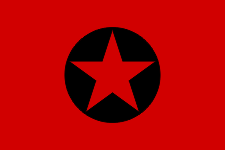 File:Flag of the Resistance Movement named after Petr Alexeev.png