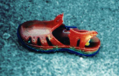 File:Shoe Jelly.jpg