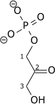 File:Glycerone-phosphate wpmp.png