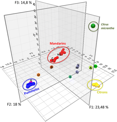 Файл:Genetic diagram of citrus.gif