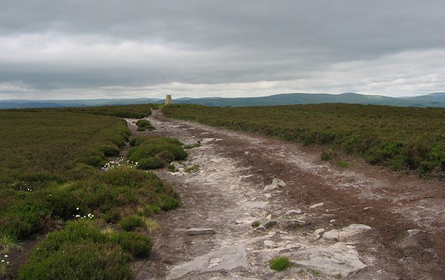 File:Long Crag summit.jpg