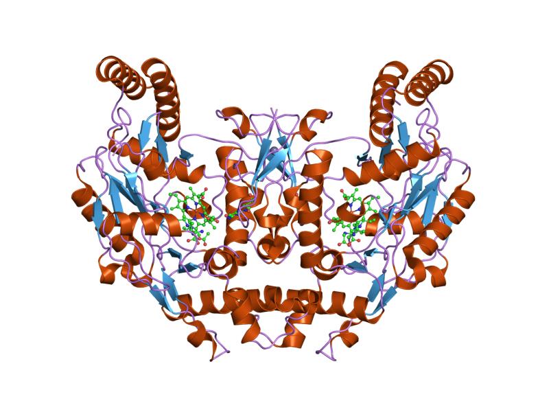 File:PDB 1k2s EBI.jpg