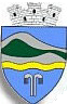 Coat of arms of Pucioasa