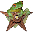 Archivo:Amphibian Barnstar.jpg