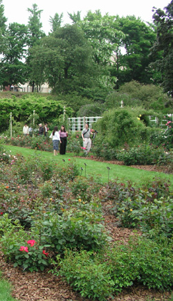 The Cranford Rose Garden in Brooklyn Botanic Garden, New York City