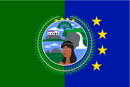 File:Atures Municipality Flag.png