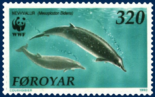 Файл:Faroe stamp 197 Mesoplodon bidens.jpg