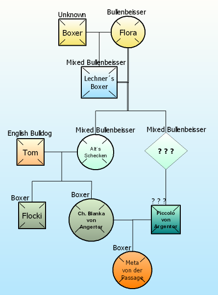 File:Boxer early genealogy.png