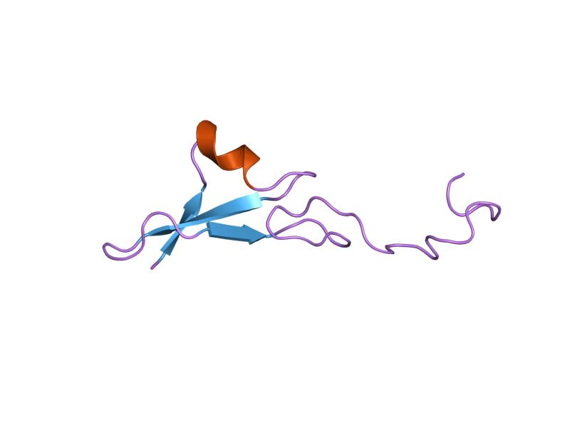 File:PDB 1haf EBI.jpg