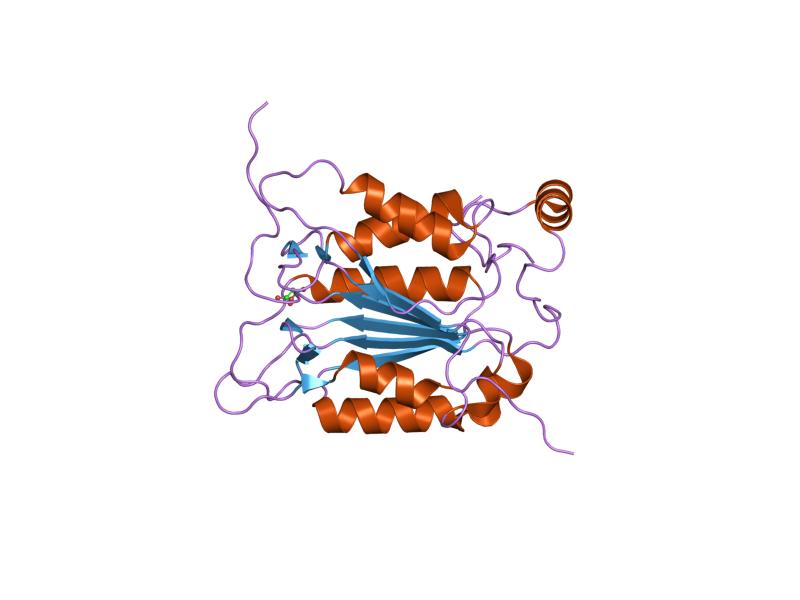 File:PDB 1sc3 EBI.jpg