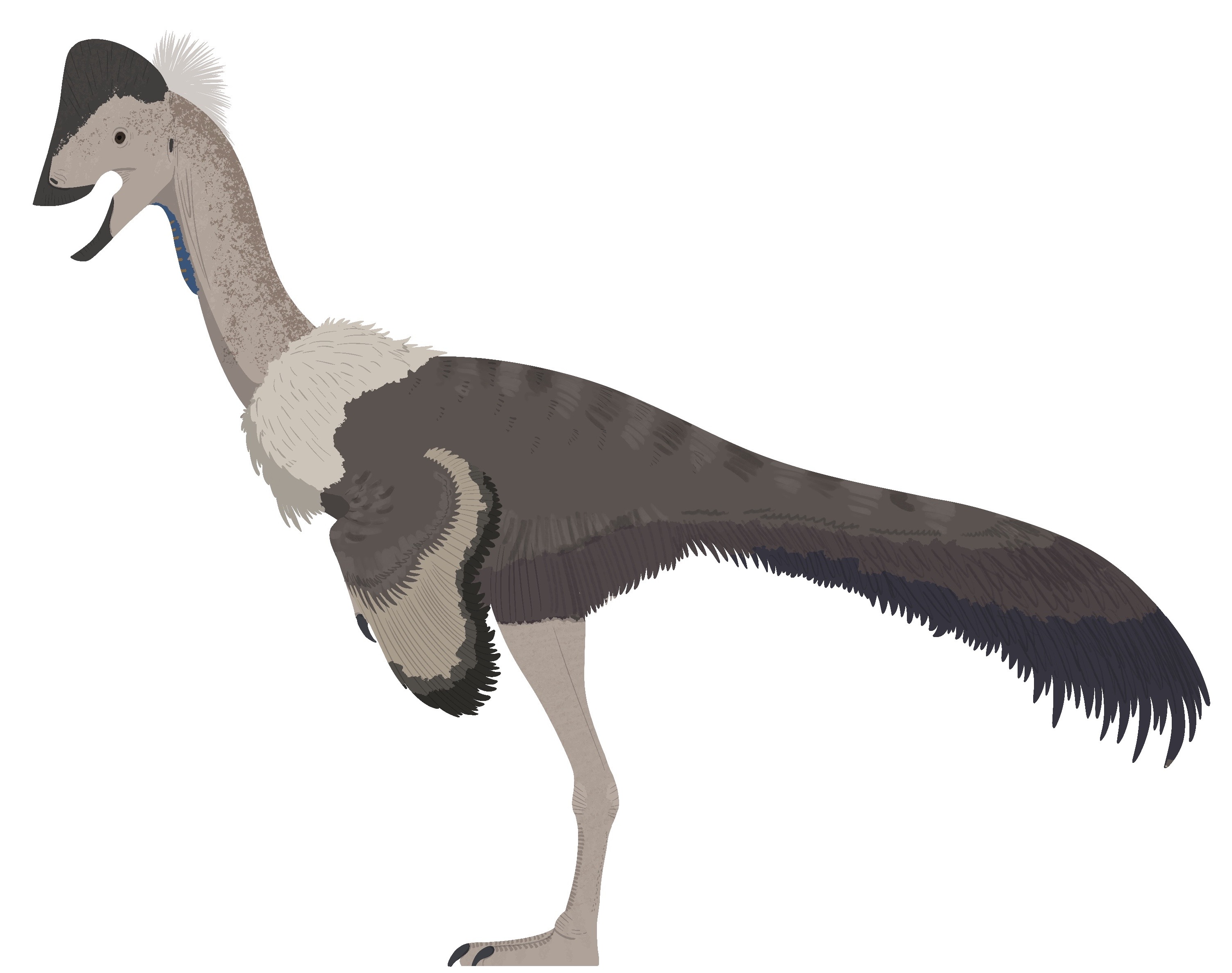 Life restoration