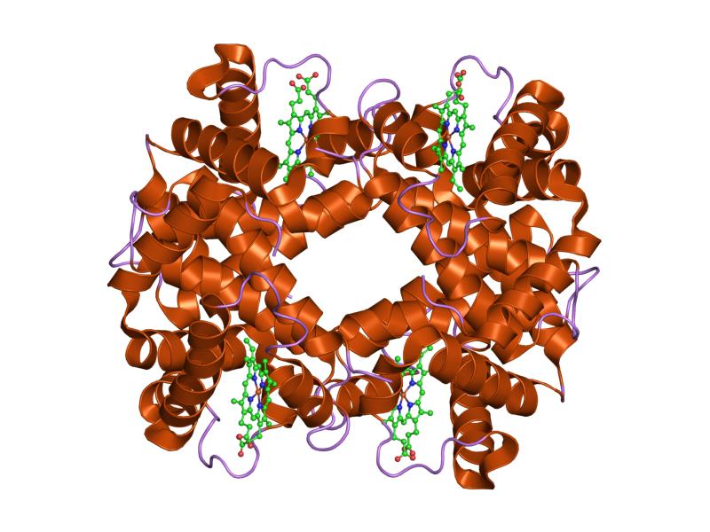 File:PDB 6hbw EBI.jpg