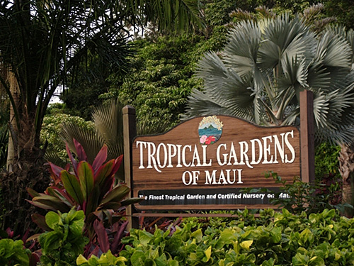 File:Tropical Gardens of Maui.jpg