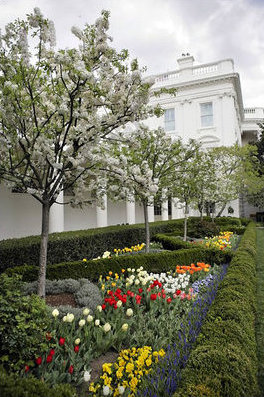 Файл:White House Rose Garden.jpg