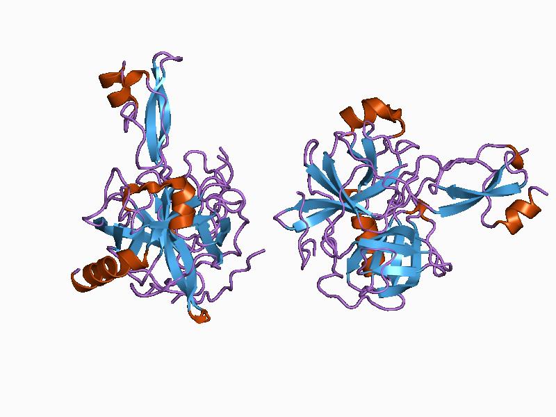 File:PDB 1ca0 EBI.jpg