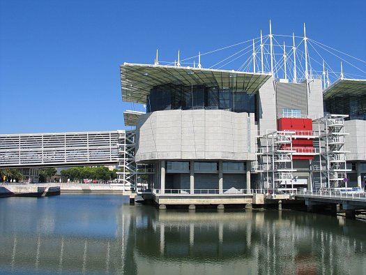 Файл:Oceanario Lisboa.JPG