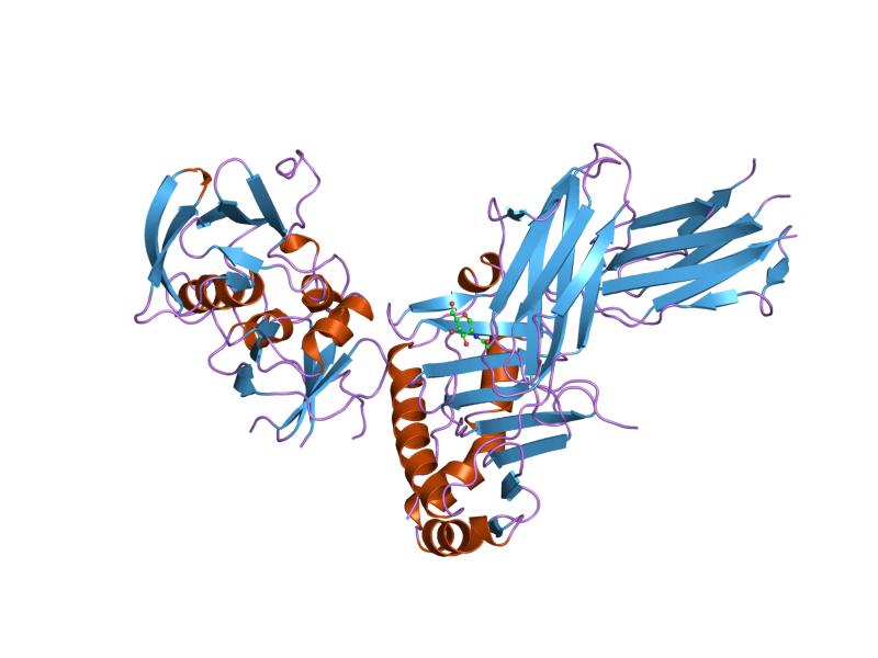 File:PDB 2seb EBI.jpg