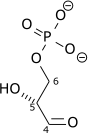 File:D-glyceraldehyde-3-phosphate wpmp.png