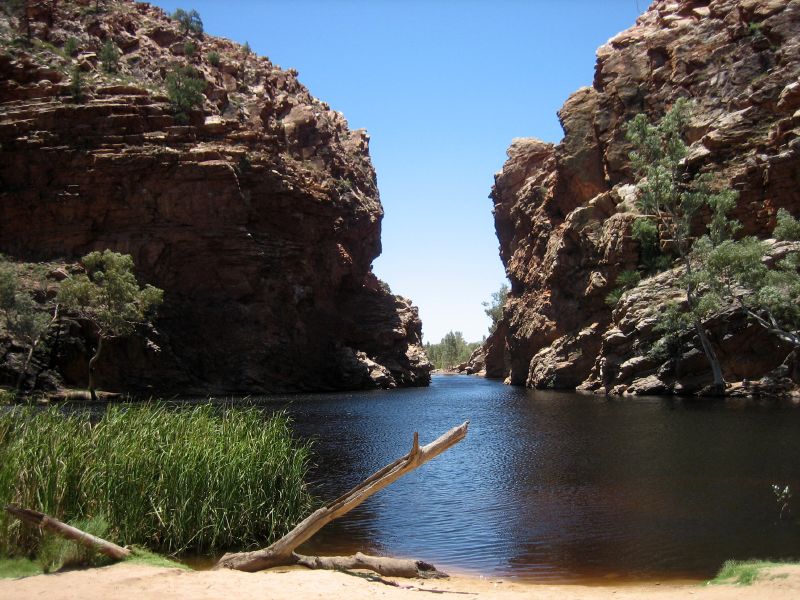 File:Ellery Creek.jpg