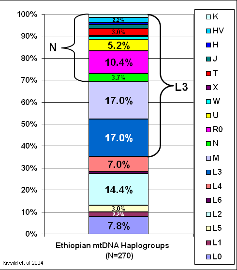 File:Ethiopian mtdna.png