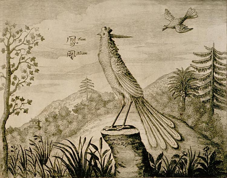 File:Fenghuang-drawing-1664.jpg