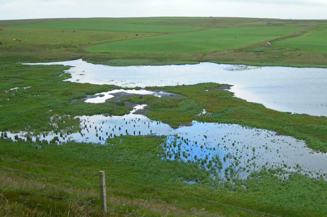 File:Mill Dam RSPB wetlands, extreme northern verge, Shapinsay.jpg