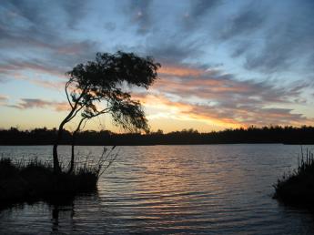 File:Yanchep sunset.jpg