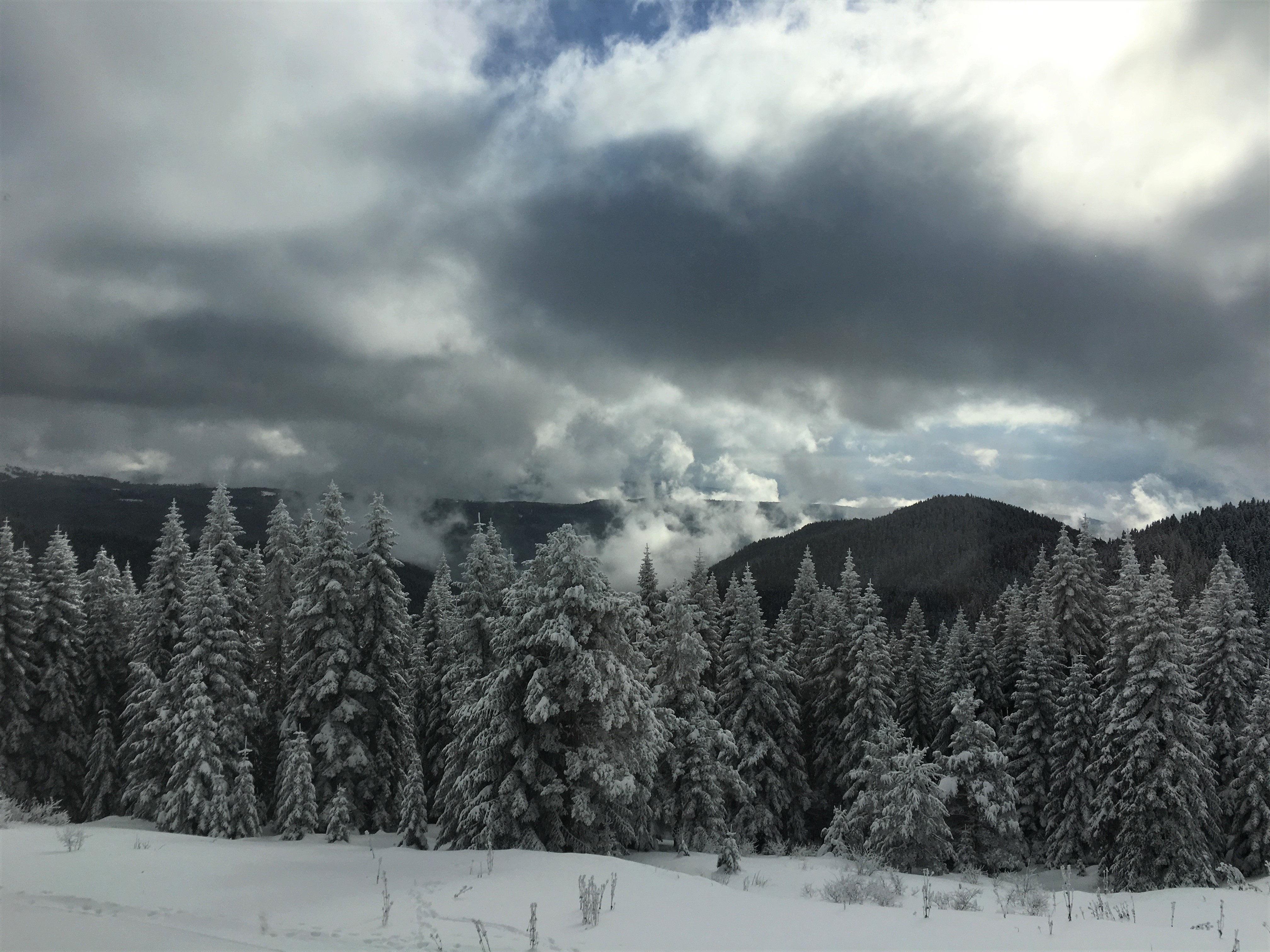 Ilgaz Mountain is a famous tourism destination