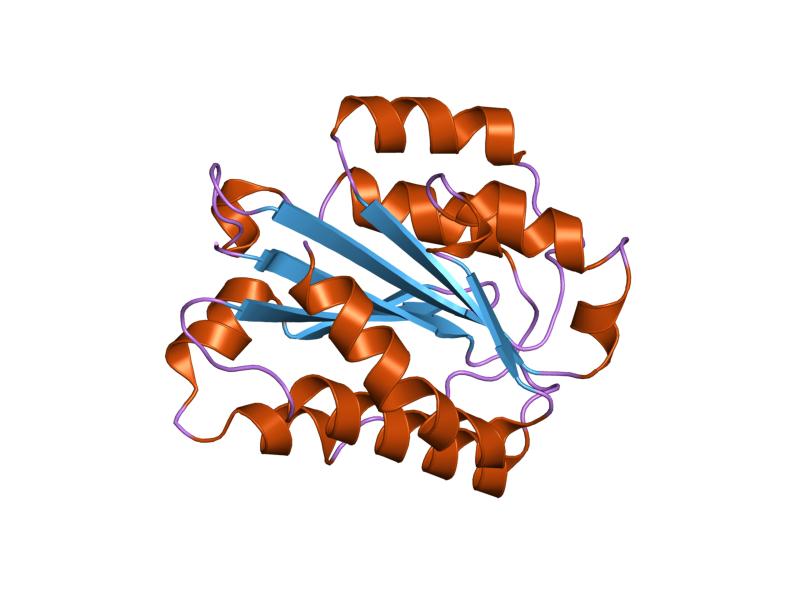 File:PDB 1n3y EBI.jpg