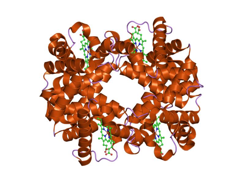 File:PDB 1xye EBI.jpg