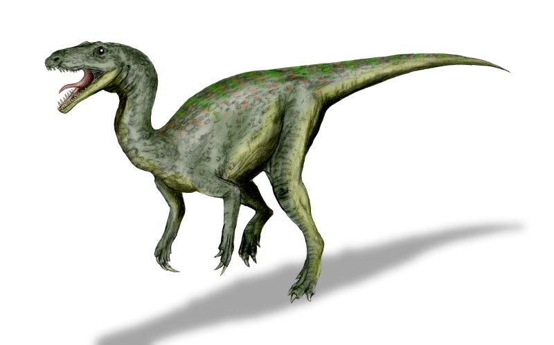 Archivo:Gojirasaurus BW.jpg