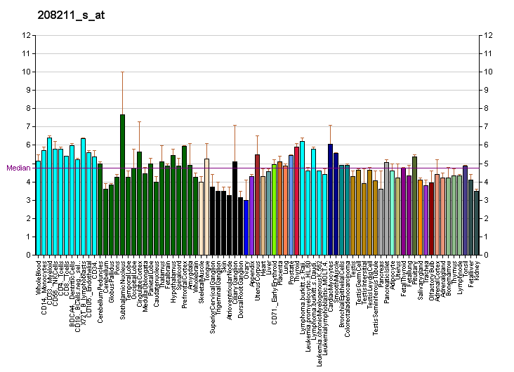 File:PBB GE ALK 208211 s at fs.png