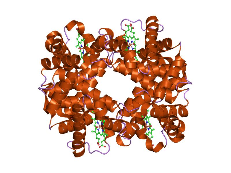 File:PDB 1yih EBI.jpg