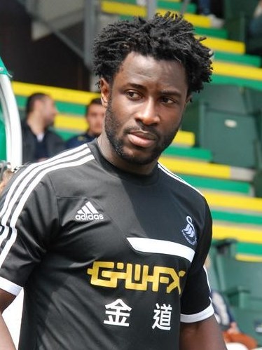 Archivo:Wilfried Bony (2013).JPG