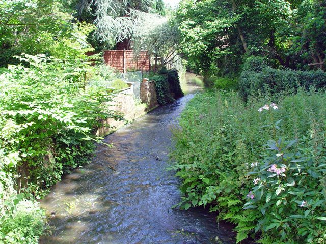 File:A stream in Chobham - geograph.org.uk - 865848.jpg