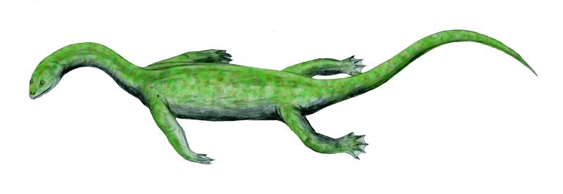 File:Keichousaurus BW.jpg