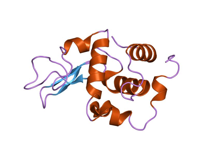 File:PDB 1eqe EBI.jpg