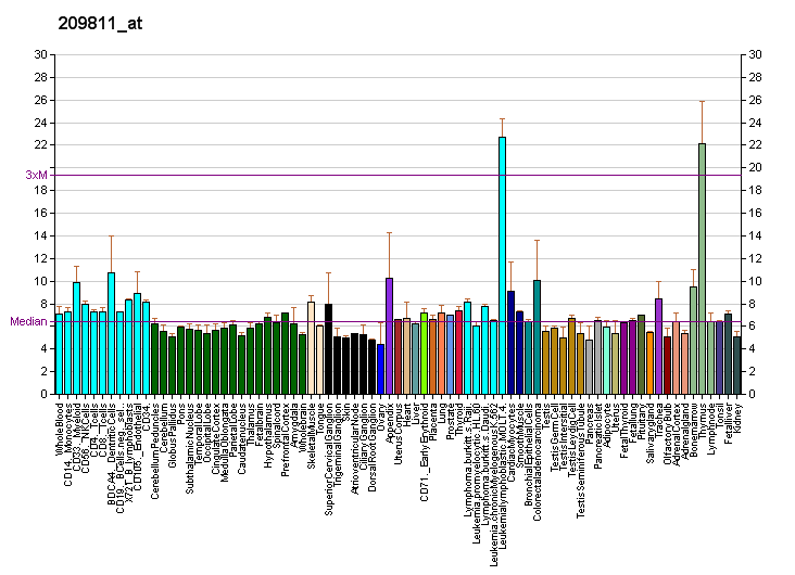 File:PBB GE CASP2 209811 at fs.png