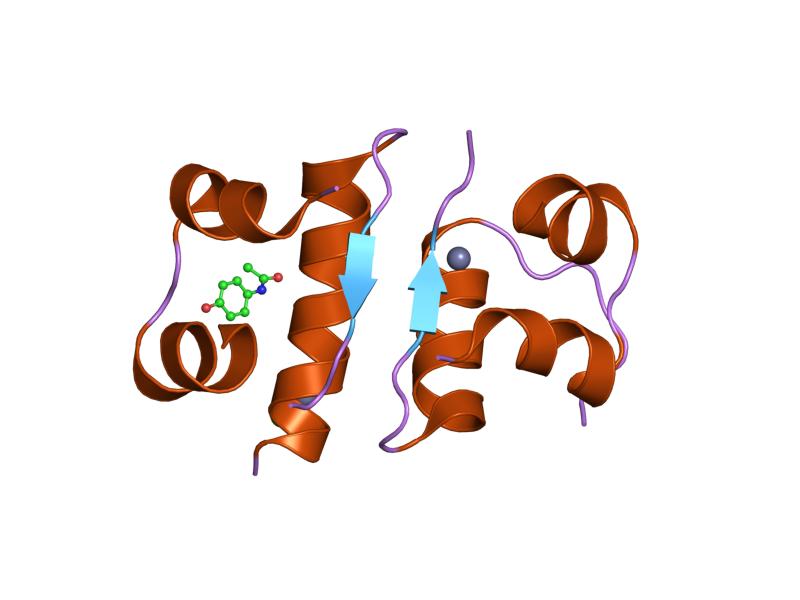 File:PDB 1tym EBI.jpg