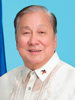 File:Rep. Lito Atienza, Jr (18th Congress PH).jpg