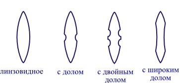 Файл:Sword cross section rus romanesque.png