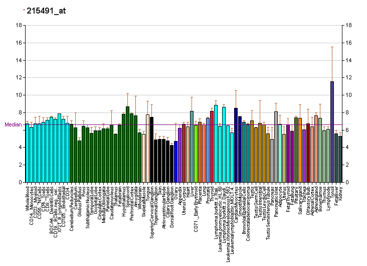 File:PBB GE MYCL1 215491 at fs.png