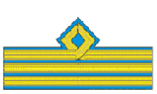 Файл:RO-Airforce-OF-2a.PNG