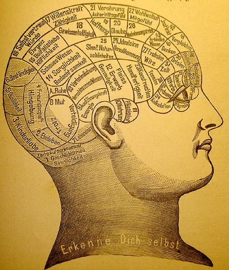 Файл:Phrenology1.jpg