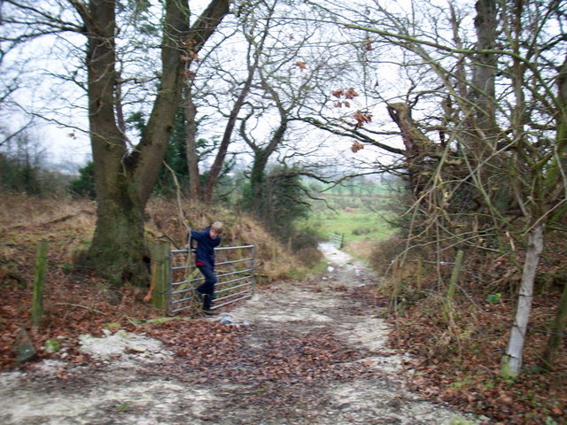 File:Old Dee embankment - geograph.org.uk - 649826.jpg