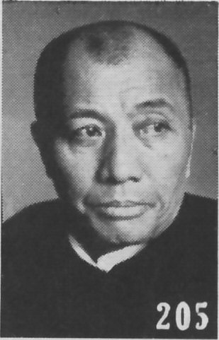 Файл:Zhao Zhengping.jpg