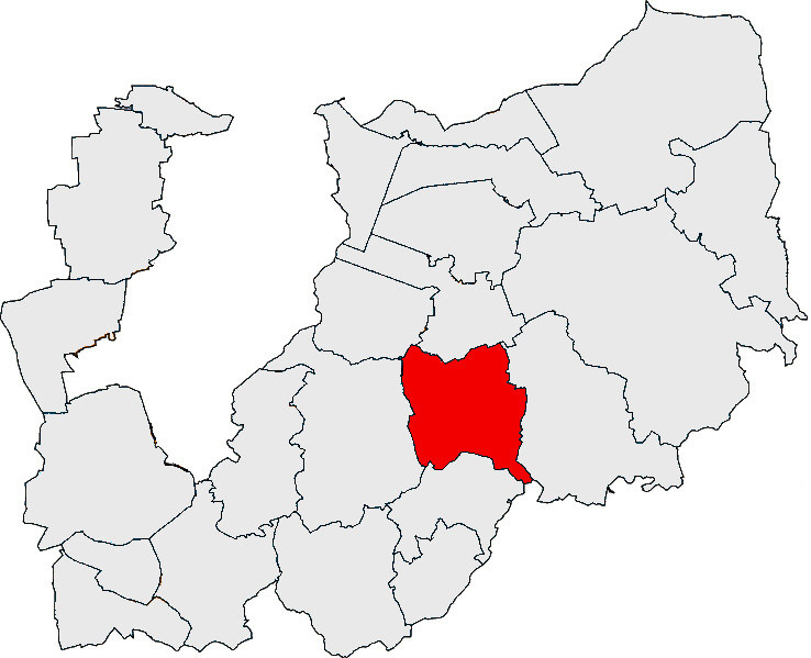 Файл:Lage der Stadt Reinheim im Landkreis.jpg